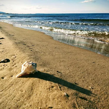 Apartamento Apto Con Vistas Al Mar Playa De *